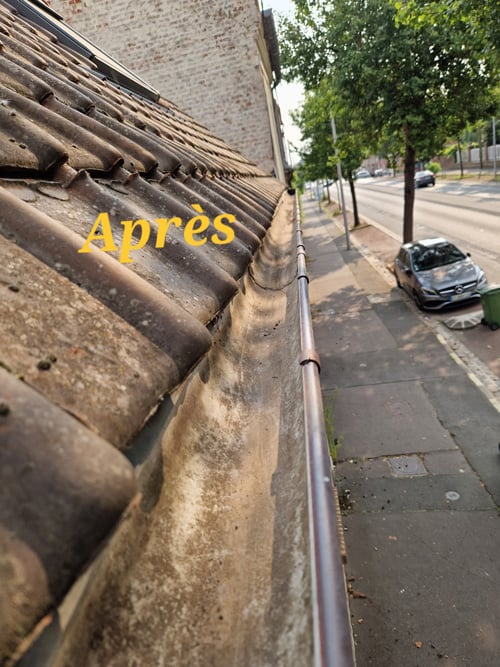 Photo après nettoyage d'une gouttière