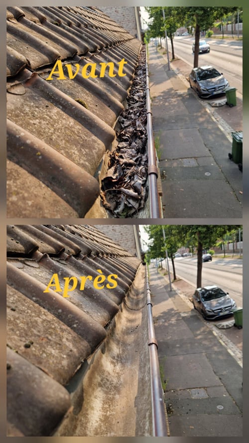 Photo avant/après nettoyage d'une gouttière