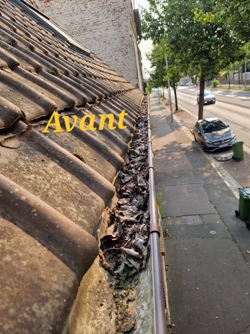 Photo avant nettoyage d'une gouttière