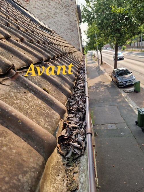 Photo avant nettoyage d'une gouttière